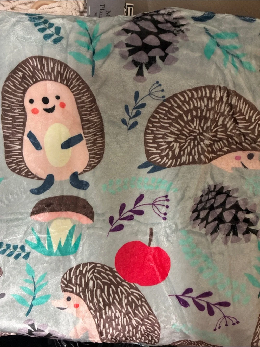 Cute Hedgehog Print Fleece Throw blanket - Mint Green Background 50 x 60 NEW
